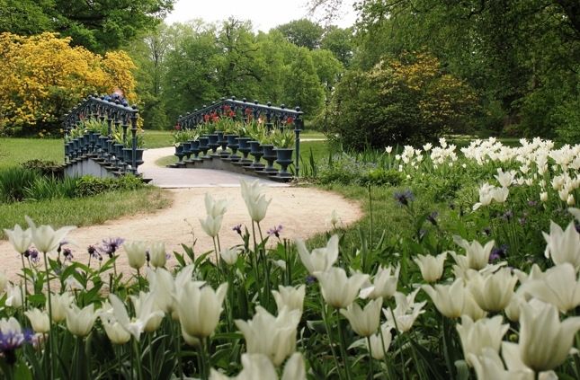 Kromlau Park Mużakowski 03