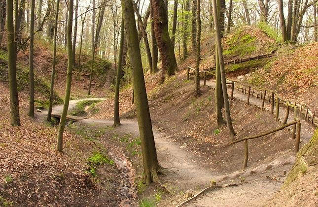 Kromlau Park Mużakowski 07